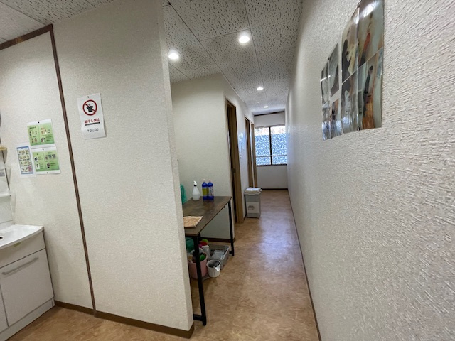 【内装】 | 小見川ビル | 内装