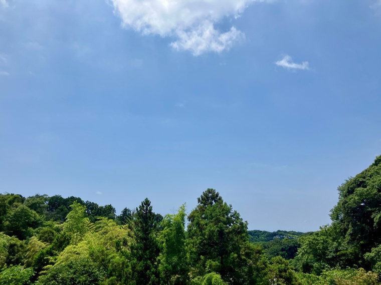 山ノ内戸建の展望