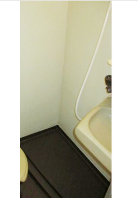 【その他】 | シャンプルマルマンⅡ