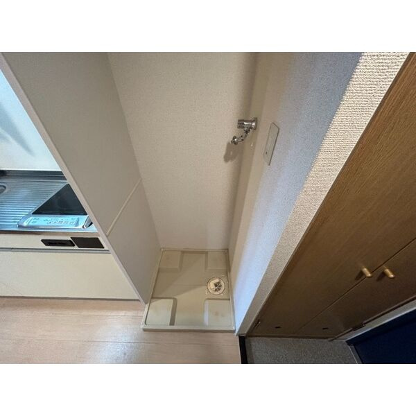アミスタ菅原のその他