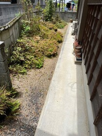 中古戸建の庭