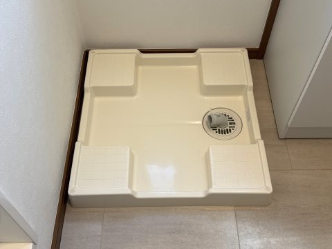レグジーのその他