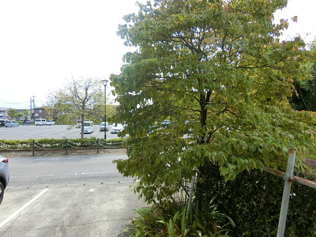 シティハイム　蔵屋敷の展望