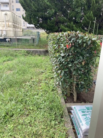 中央区長潟2丁目　売地