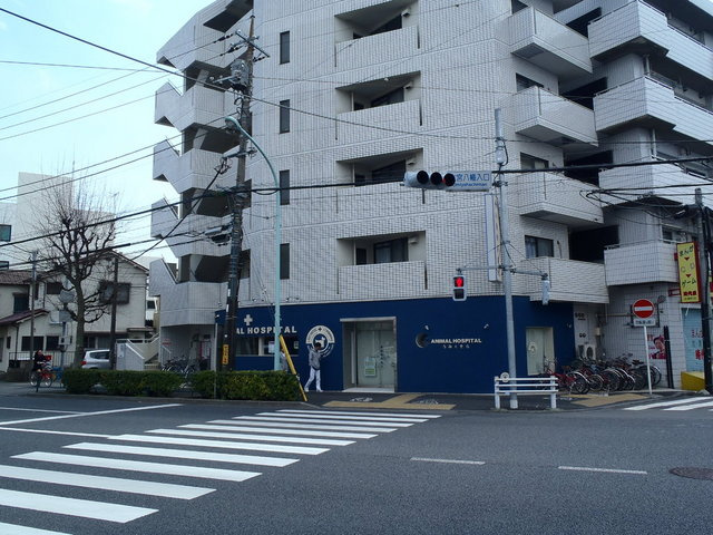 ＭＹコート堀ノ内のその他共用部分|物件近くの動物病院です