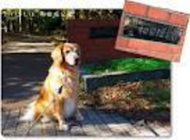 ＭＹコート堀ノ内のその他共用部分|★ワンちゃんもご機嫌だワン★和田堀公園まで550ｍ