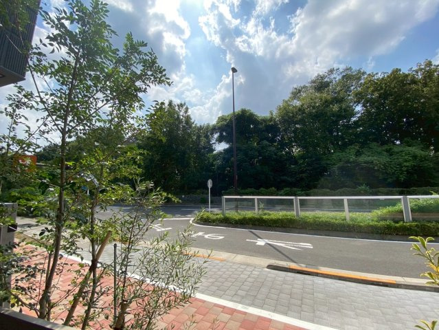 ＣＬＡＩＲ　ＭＡＩＳＯＮ　ＫＵＧＡＹＡＭＡの展望