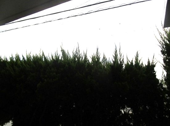 ラフォーレ西里の展望