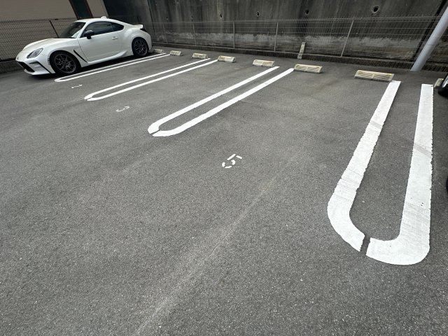 カラタチの駐車場