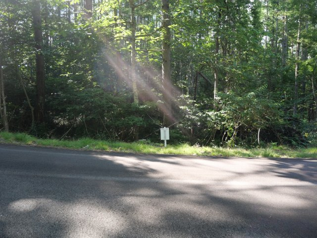 荘川ビレッジ⑩