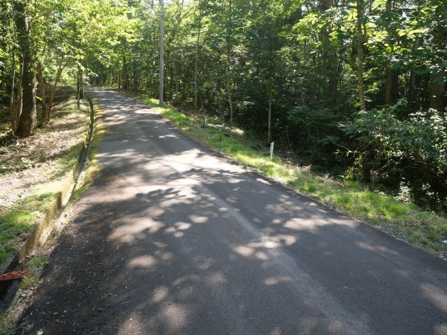 荘川ビレッジ⑩の前面道路含む現地写真