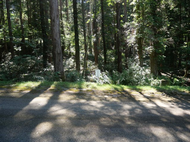 荘川ビレッジ⑪