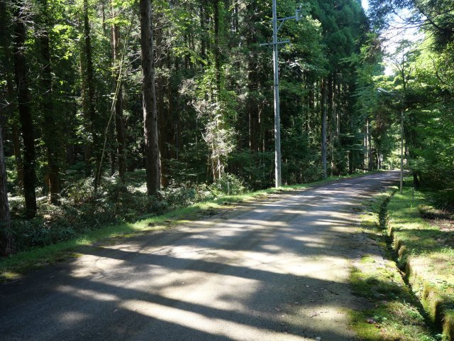 荘川ビレッジ⑪の前面道路含む現地写真