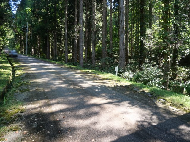 荘川ビレッジ⑪の前面道路含む現地写真