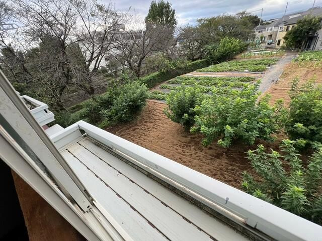 清瀬ブルーハイムの展望