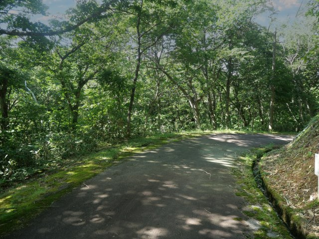 荘川ビレッジ⑫の前面道路含む現地写真