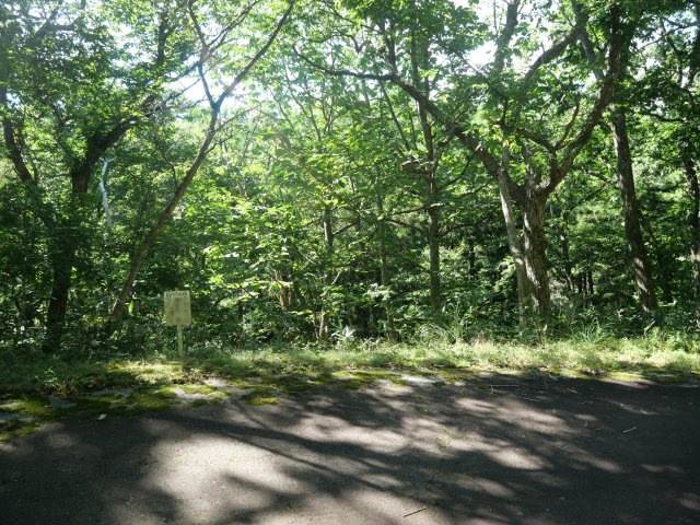 荘川ビレッジ⑫の外観