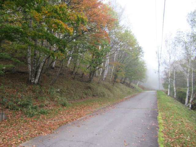 美しの国別荘地③の前面道路含む現地写真