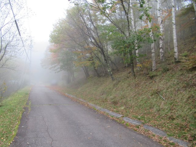 美しの国別荘地③の前面道路含む現地写真