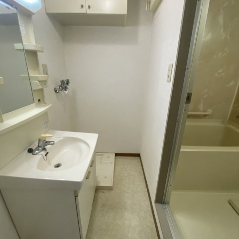 ハイツグリンサイドⅢの洗面所