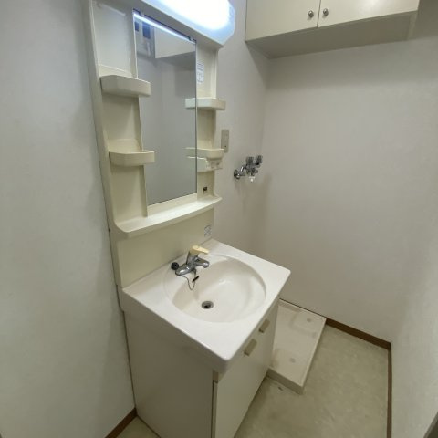 ハイツグリンサイドⅢの洗面所