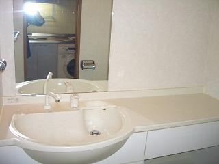 メゾンドヴィレ恵比寿の洗面所