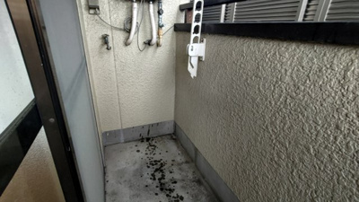 【その他】 | クレイテルハイツ