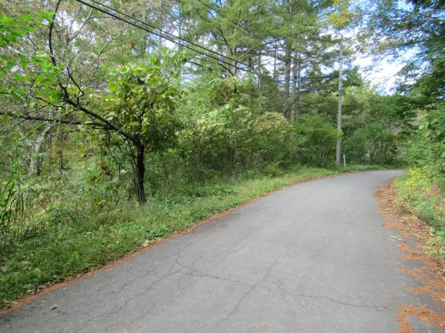 青木の森別荘地（青木村）①の前面道路含む現地写真