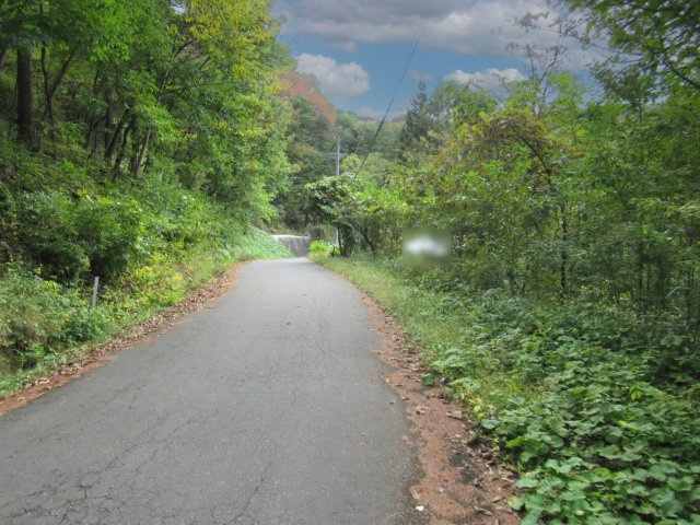 青木の森別荘地（青木村）①の前面道路含む現地写真