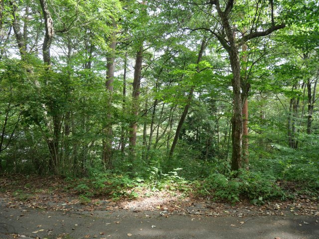 信州塩嶺高原別荘地①しらかば地区の外観