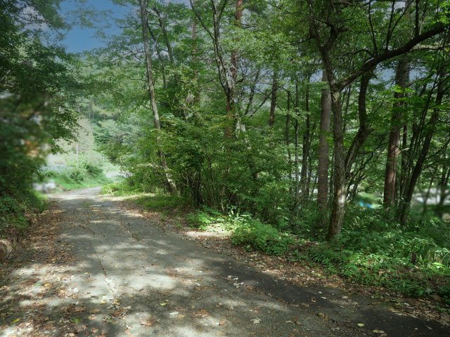 信州塩嶺高原別荘地①しらかば地区の前面道路含む現地写真