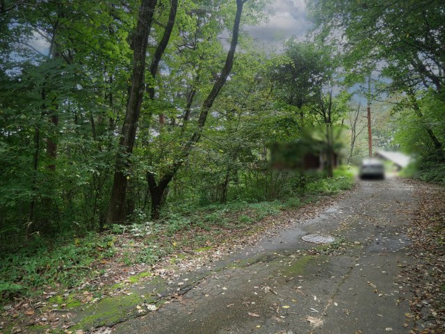 信州塩嶺高原別荘地①しらかば地区の前面道路含む現地写真