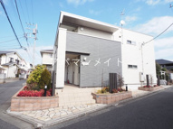 マシェリシスの画像