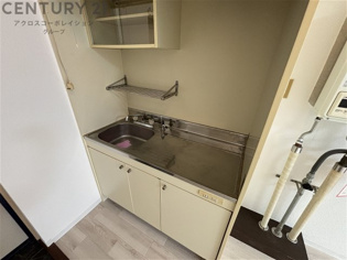 CRASIS苦楽園プラザのキッチン