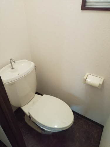 タウニィ優生 Aのトイレ