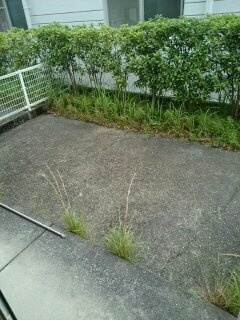 【庭】 | パークサイド