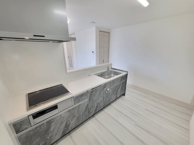 松ケ丘1丁目1区画・未入居戸建のキッチン