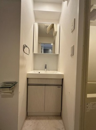 PARK HILLS 難波南 haneulの洗面所