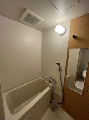 PARK HILLS 難波南 haneulの浴室