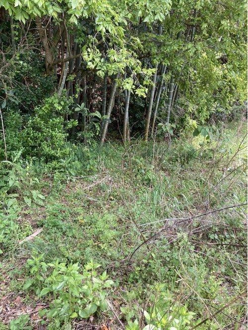 高浜町1丁目1435-4の外観|現地土地