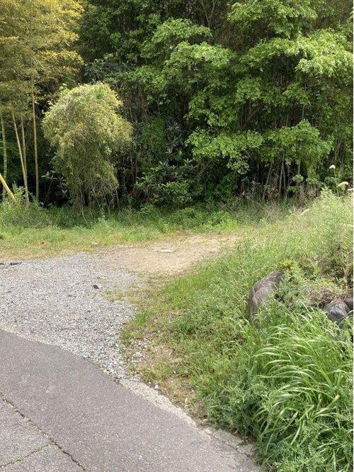 高浜町1丁目1435-4の前面道路含む現地写真|現地土地