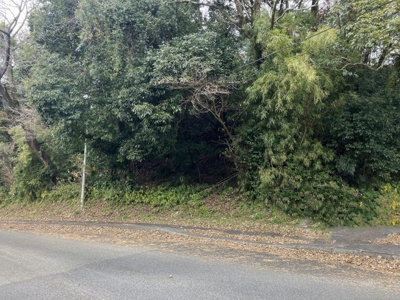 【外観】 | いちき串木野市小薗戸建て | 山林部分