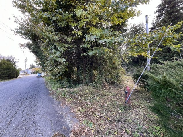 【土地】平犬ノ窪の周辺