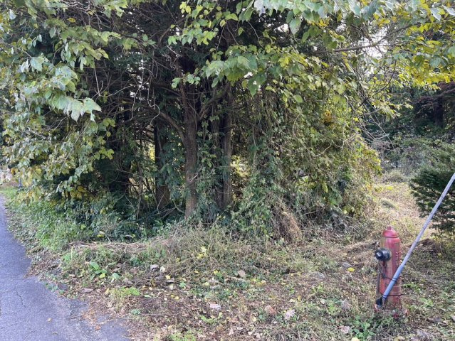 【土地】平犬ノ窪の周辺