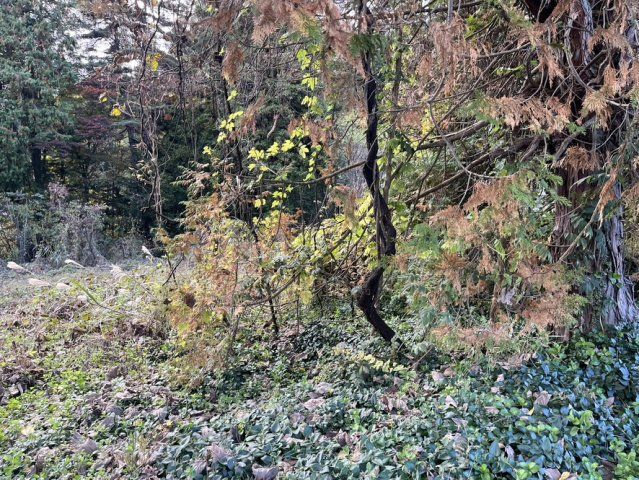 【土地】平犬ノ窪の周辺