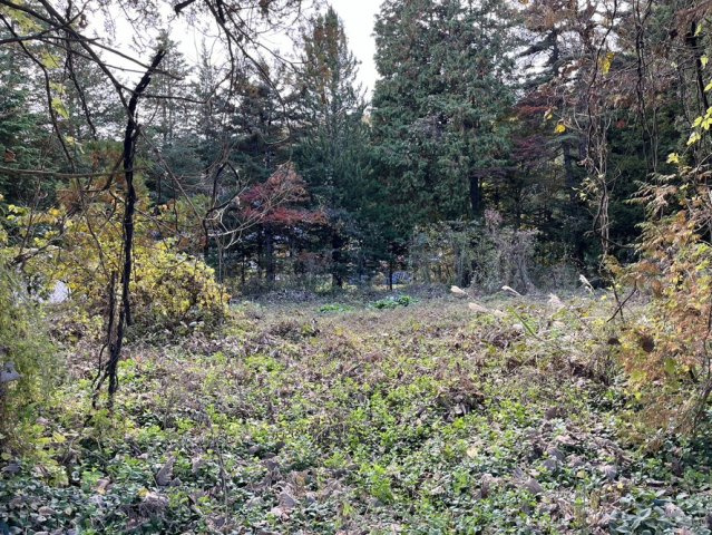 【土地】平犬ノ窪の周辺