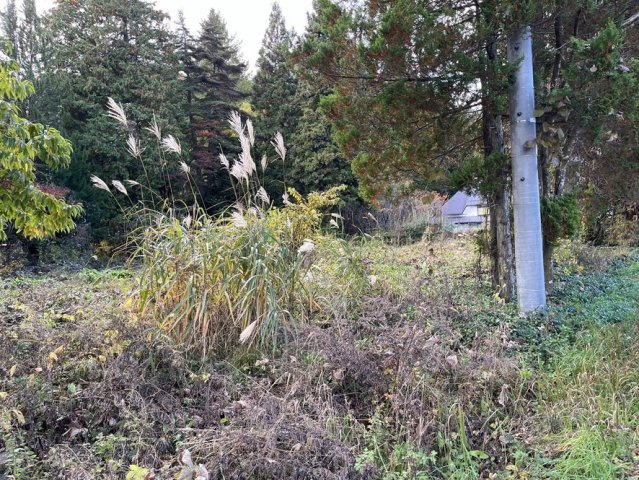 【土地】平犬ノ窪の周辺