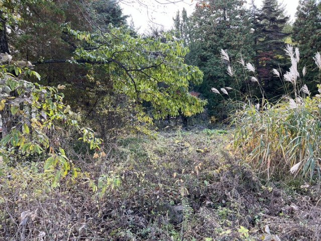 【土地】平犬ノ窪の外観