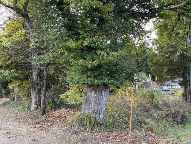 【土地】平犬ノ窪の周辺