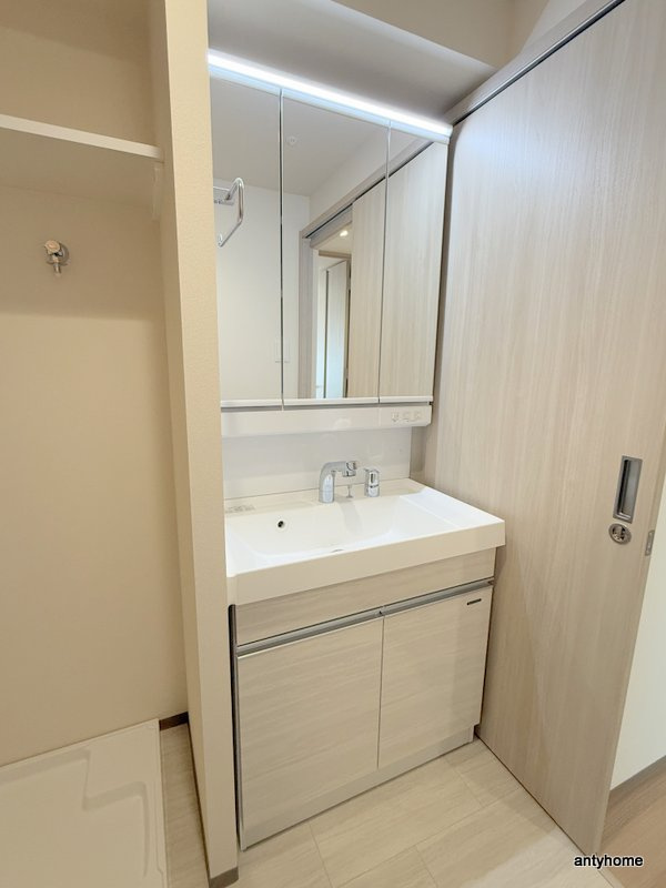 セイワパレス大阪城南　仲介手数料無料の洗面所